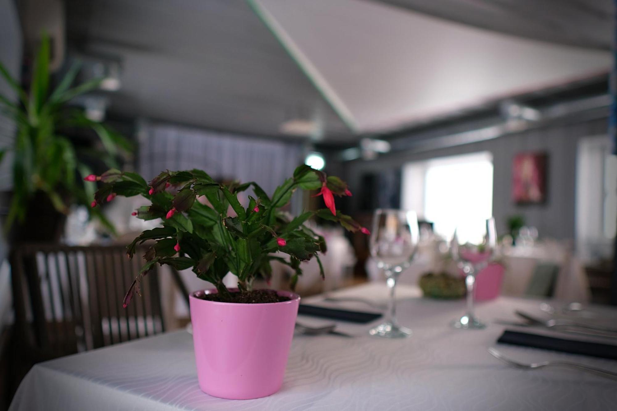 Vergi Sadam & Restoran Wirkes' Ngoại thất bức ảnh